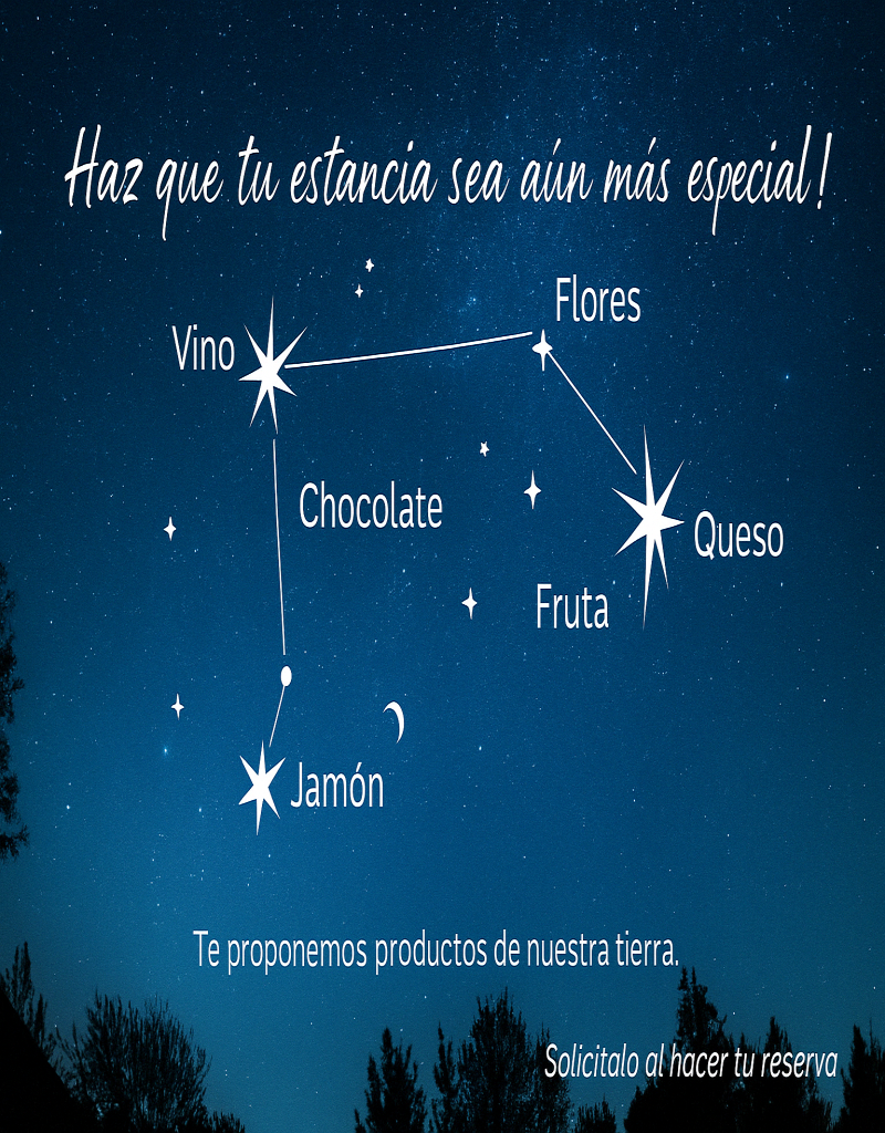 Servicios